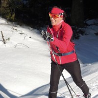 podél Prášilského potoka